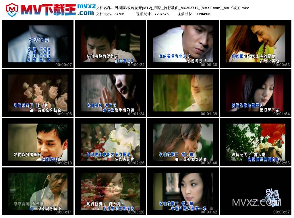 周桐同-玫瑰花开(MTV)_国语_流行歌曲_MC303712